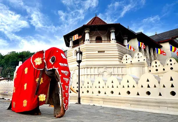 Cultural Destination