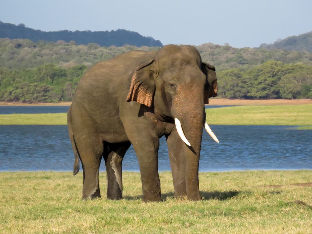 Eco-Friendly Tour Packages